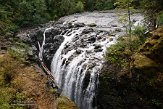 CABA1230215 Englishman River Falls Provincial Park