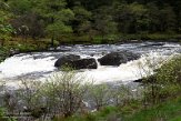 GBSC0122317 River Orchy