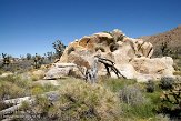 USCA09131881 Mojave National Preserve