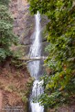 USNW1180057 Multnomah Falls