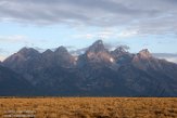 USNW1180344 Cathedral group of the Teton range as seen from Gross Ventre