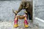 BPPG109043 Opening van het bad van de heilige olifanten