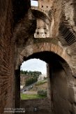 ITRO116293 Colosseum