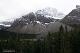 CABA1232531 Crowfoot Glacier