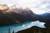 CABA1232559 Peyto Lake