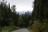 CABA1231666 Revelstoke National Park