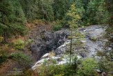 CABA1230204 Englishman River Falls Provincial Park