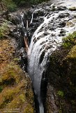 CABA1230210 Englishman River Falls Provincial Park