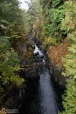 CABA1230212 Englishman River Falls Provincial Park