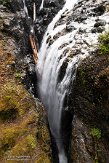 CABA1230213 Englishman River Falls Provincial Park