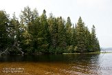 ON20150132 Lake of Two Rivers east beach, Algonquin Provincial Park
