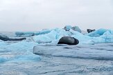 IS20251117 Jökulsárlón Glacier Lagoon