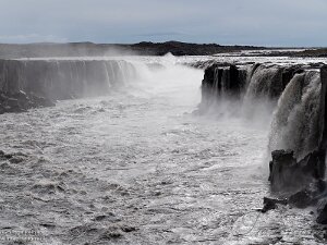 Dettifoss & Selfoss