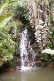 MG20160039 Ivoloina (Parc Zoologique), Tamatave