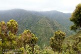 ASM03110435 Pico da Vara national reserve