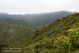 ASM03110446 Pico da Vara national reserve