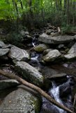 USNE1190954 Roaring Fork Motor Nature Trail