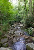 USNE1190955 Roaring Fork Motor Nature Trail