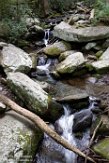 USNE1190957 Roaring Fork Motor Nature Trail