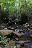 USNE1190960 Roaring Fork Motor Nature Trail