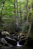 USNE1190969 Roaring Fork Motor Nature Trail