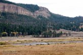 USNW1181324 Lamar Valley